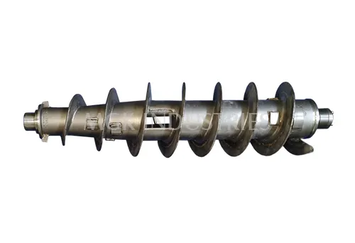 Conveyor Assembly For Decanter